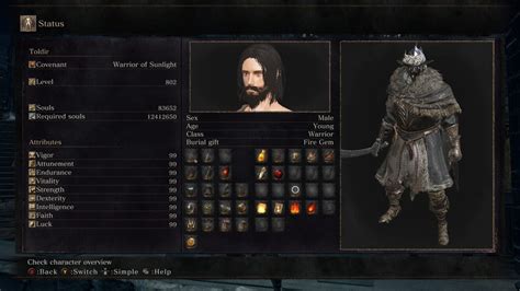 dark souls 3 are quality builds worth